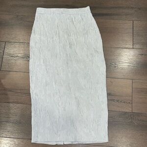 Woman’s Zara Skirt